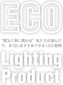 ECO Lighting Product